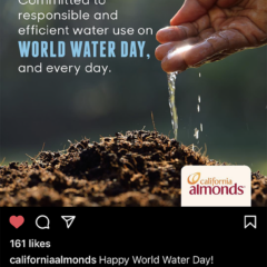 World water day and almond water conservation. California almonds, water saving